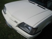 VKSS_whitefront