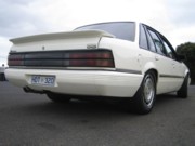 VKSS_whiterear