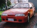 VL_Sandownwagon